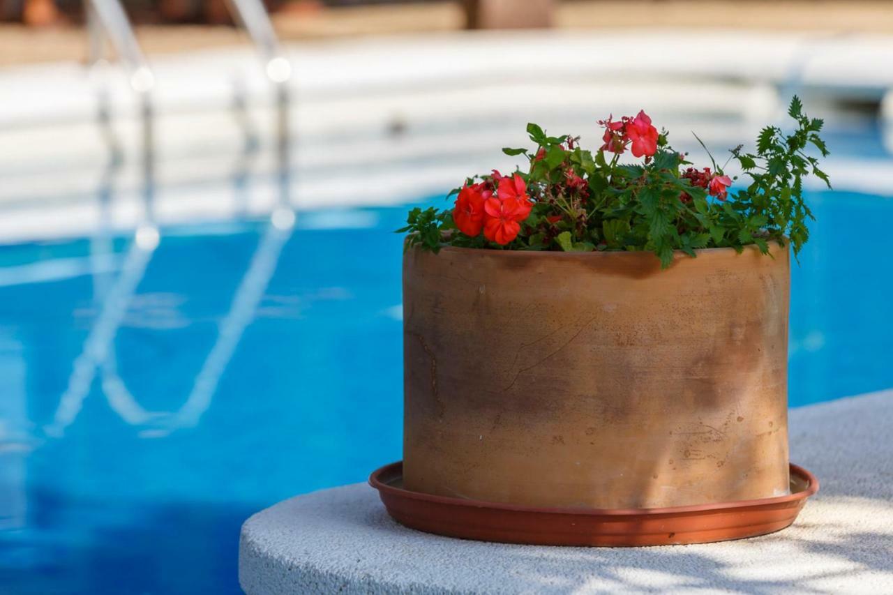 Casita Las Malvinas En Villa De Nijar Con Piscina Ngoại thất bức ảnh